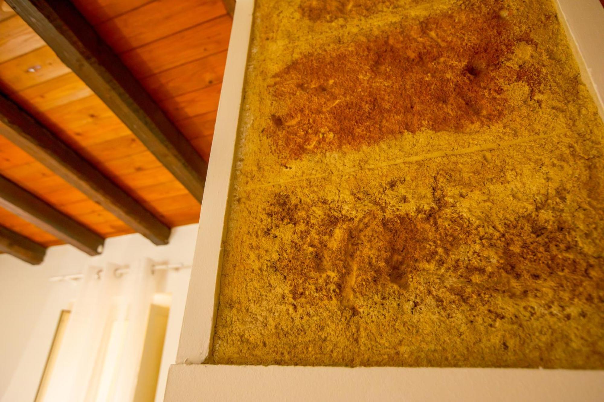 Casa D'Amari Daire Palermo Dış mekan fotoğraf